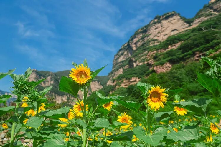 微信图片_2026-06-25_095607_496