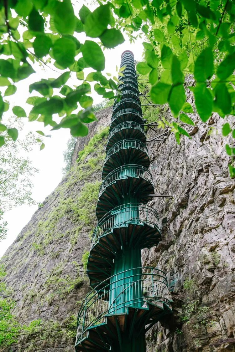 微信图片_2026-06-24_110314_371