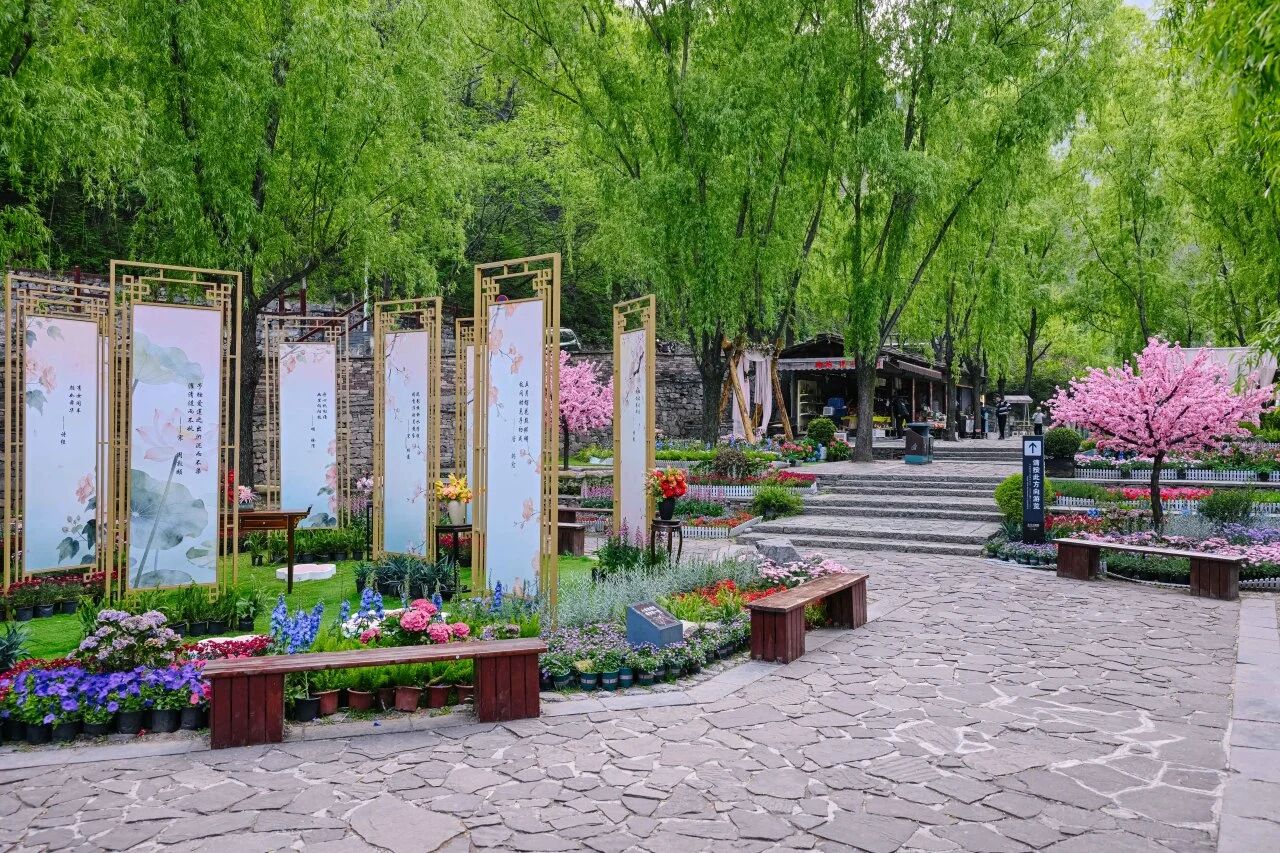 微信图片_2026-05-15_112337_466