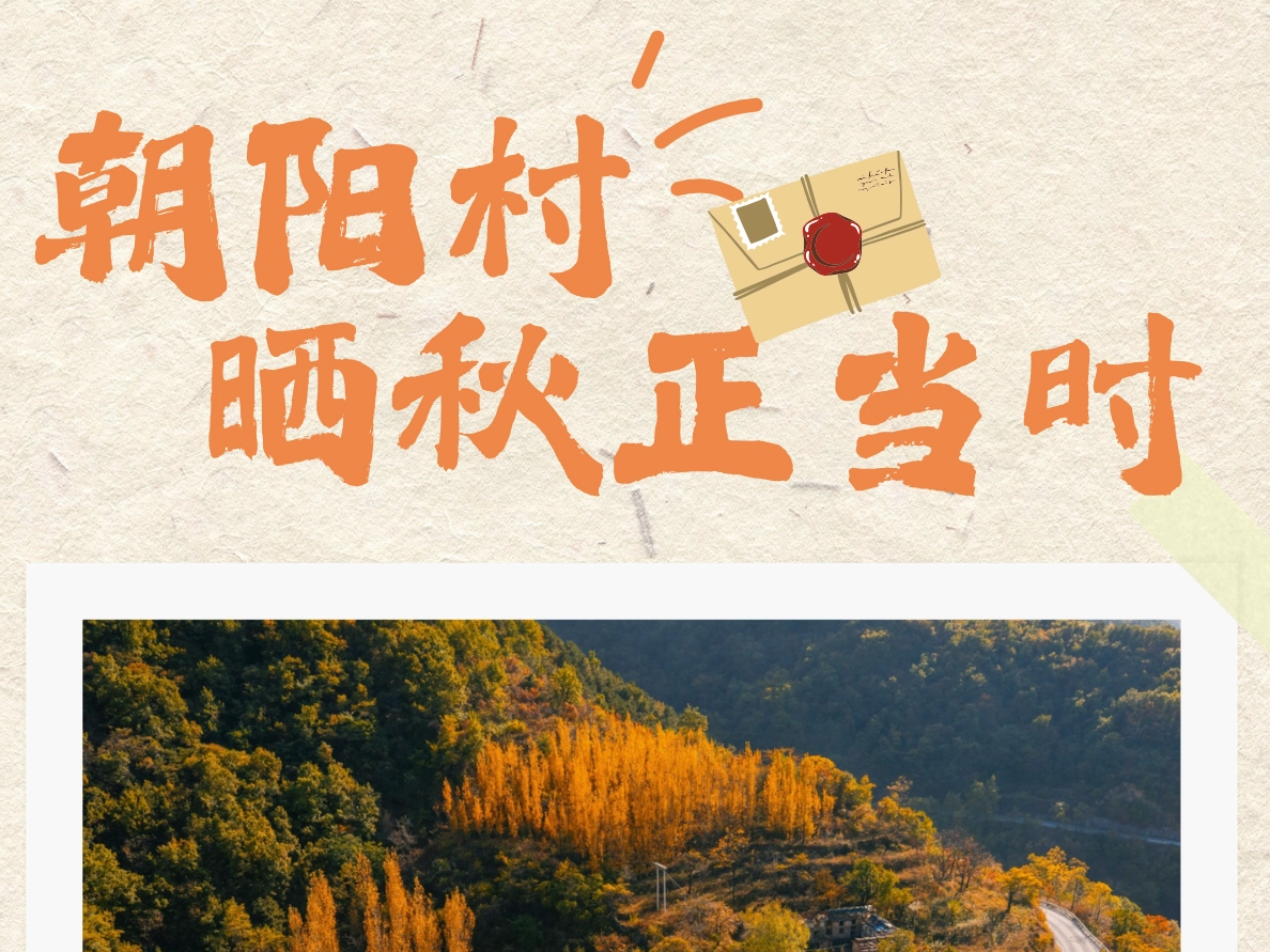 古村秋信｜朝阳村晒秋正当时，石屋檐下，尽是丰收色彩