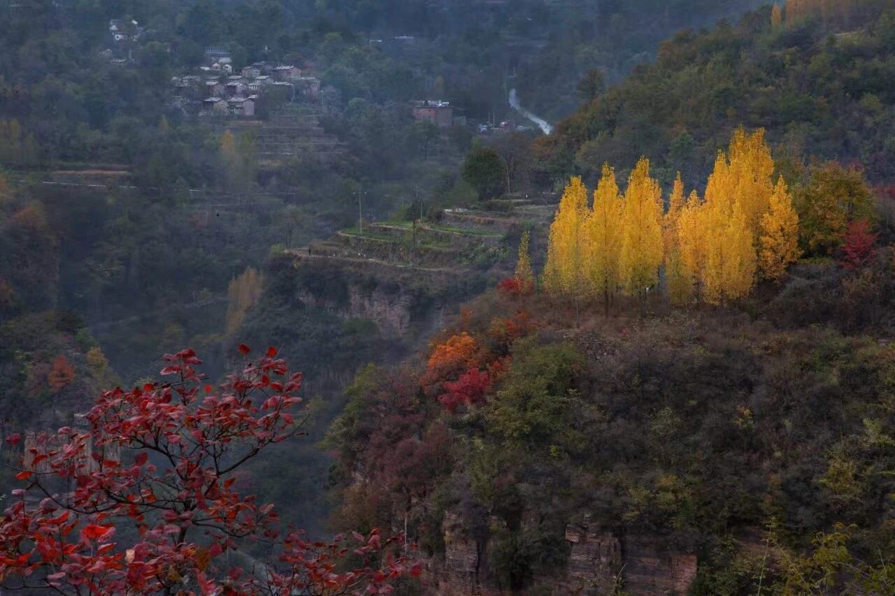 微信图片_2026-09-01_110439_092