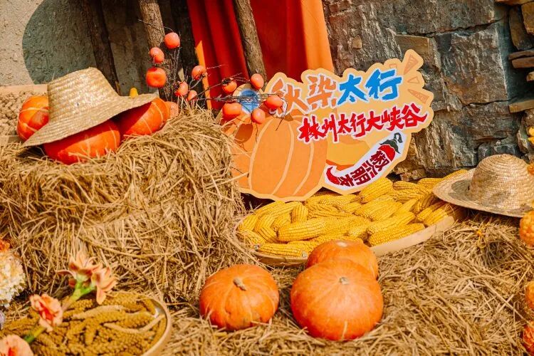 微信图片_2026-10-08_160215_961
