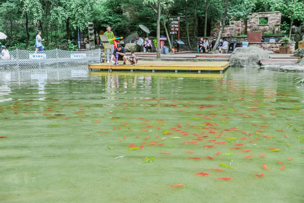 微信图片_2026-09-01_110419_620