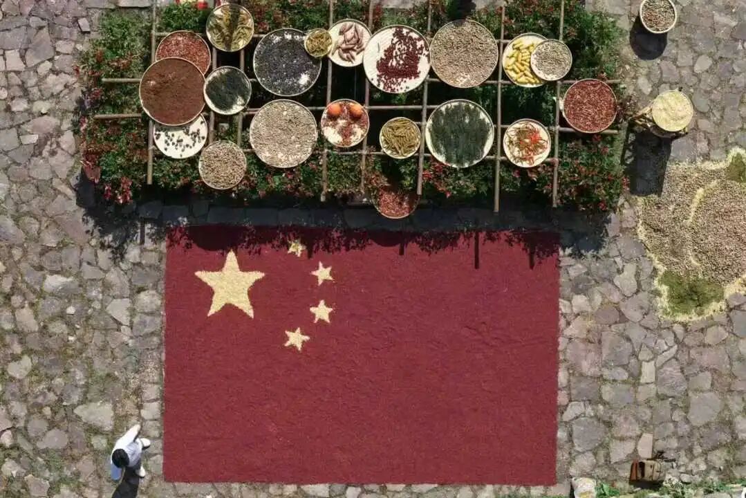 微信图片_2026-10-08_150702_769
