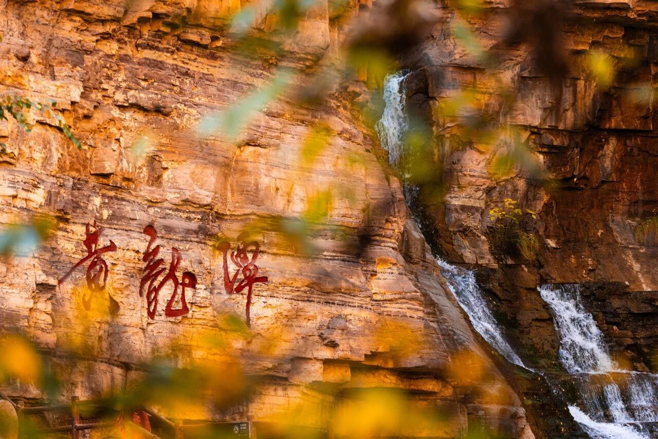 微信图片_2026-10-21_172552_712