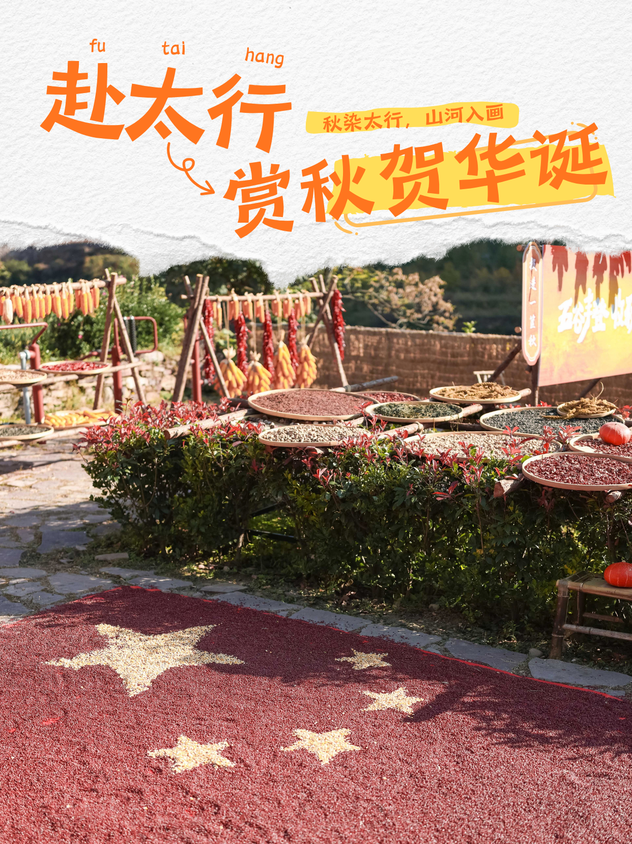 微信图片_2026-10-08_150643_216