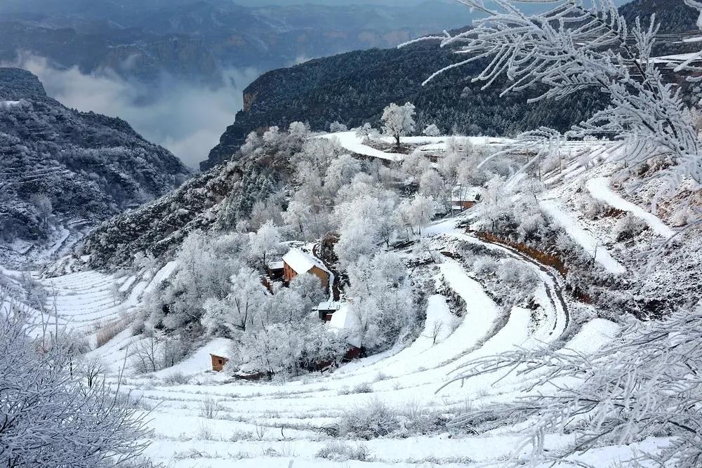 微信图片_20210408103137