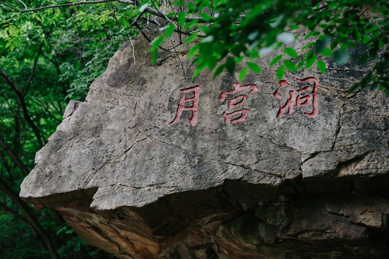 微信图片_2026-06-24_110312_371