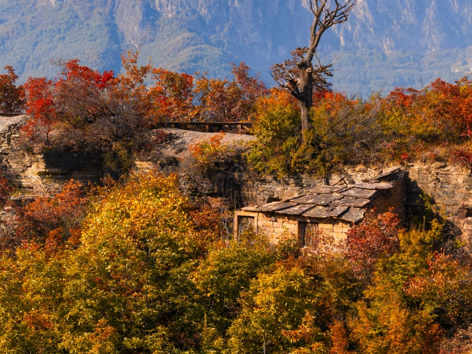 秋韵桃花谷｜溪谷油画小镇，邂逅藏在山谷里的艺术秋景